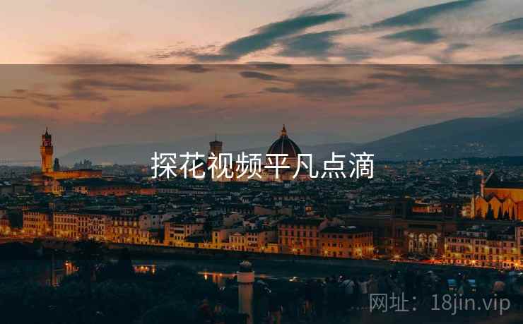 探花视频平凡点滴