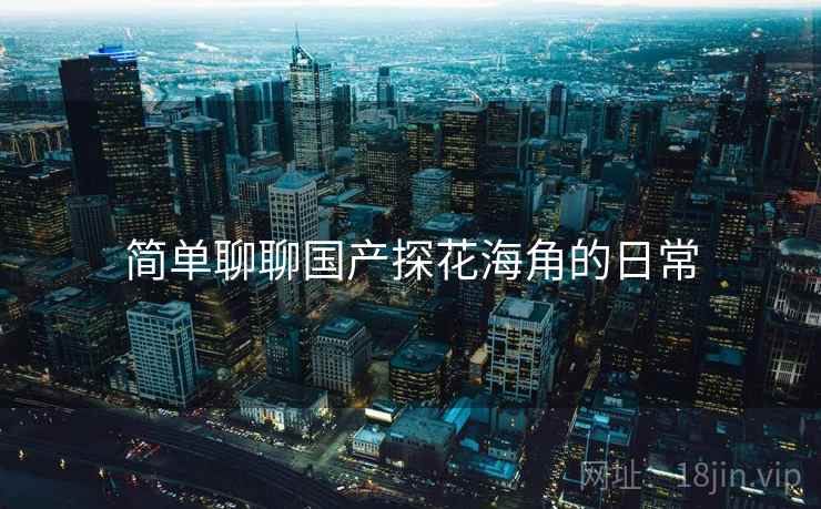 简单聊聊国产探花海角的日常