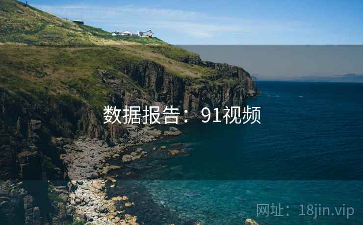 数据报告:91视频