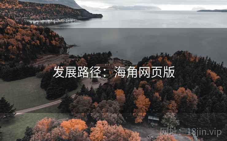 发展路径:海角网页版