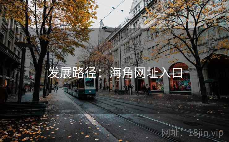 发展路径:海角网址入口