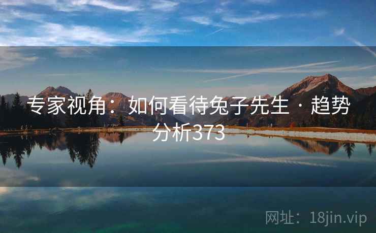 专家视角:如何看待兔子先生 · 趋势分析373