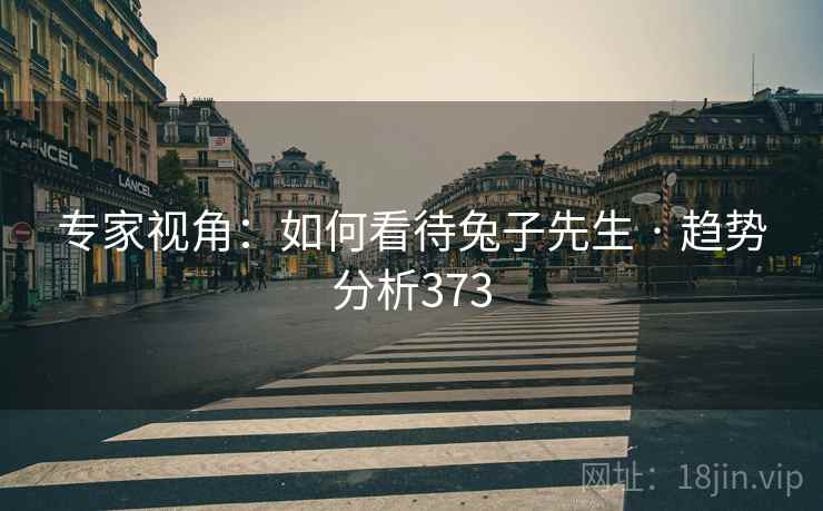 专家视角:如何看待兔子先生 · 趋势分析373