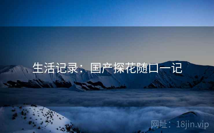 生活记录:国产探花随口一记