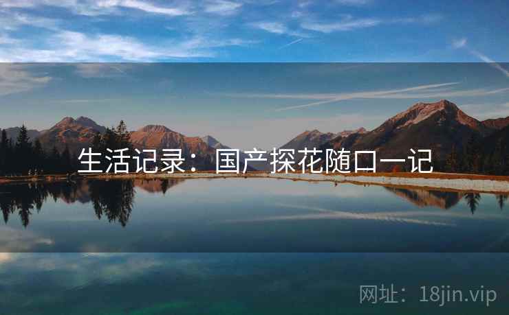 生活记录:国产探花随口一记