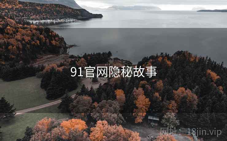 91官网隐秘故事