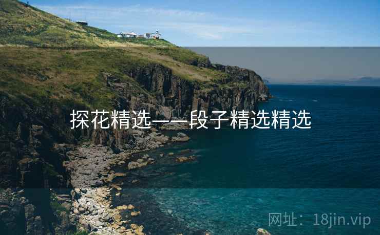 探花精选——段子精选精选