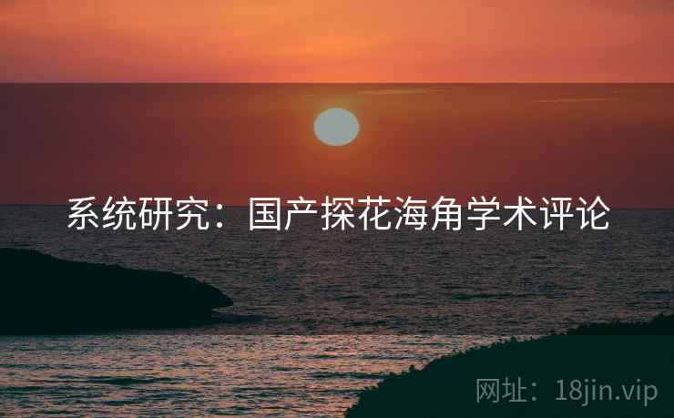 系统研究:国产探花海角学术评论