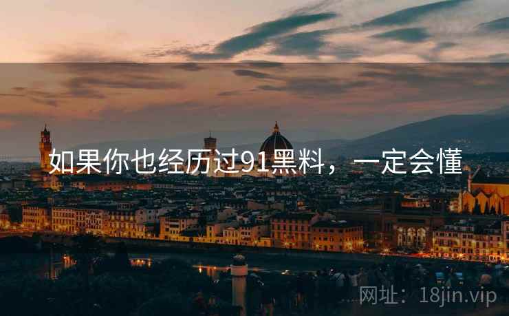 如果你也经历过91黑料,一定会懂  第1张 如果你也经历过91黑料,一定会懂  第1张