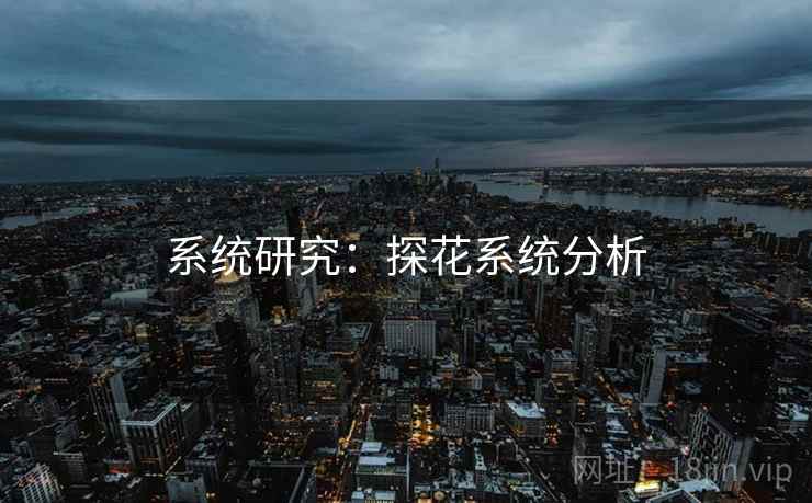 系统研究:探花系统分析