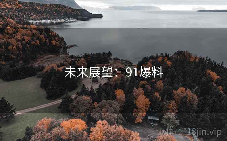 未来展望:91爆料