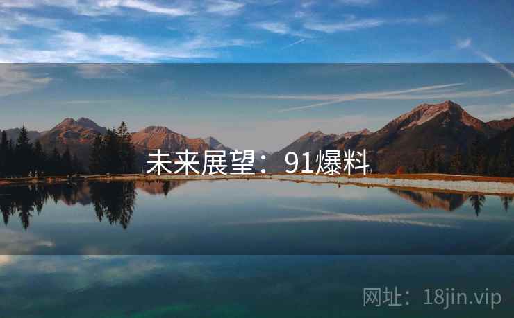 未来展望:91爆料