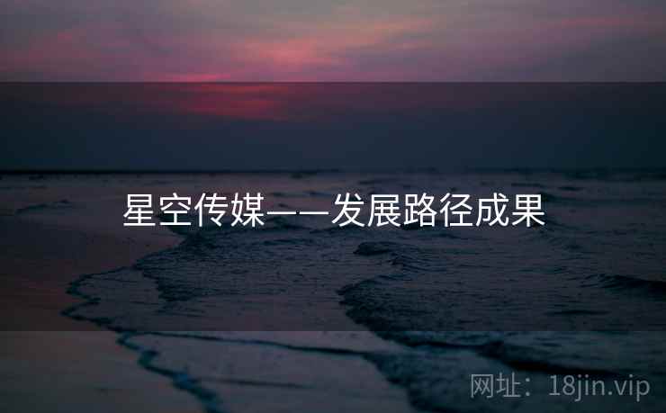 星空传媒——发展路径成果