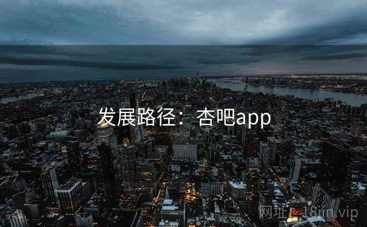 发展路径:杏吧app