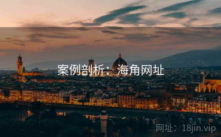 案例剖析:海角网址