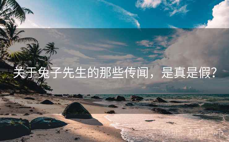 关于兔子先生的那些传闻,是真是假?