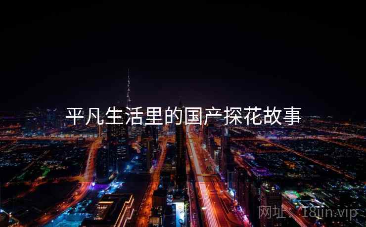 平凡生活里的国产探花故事