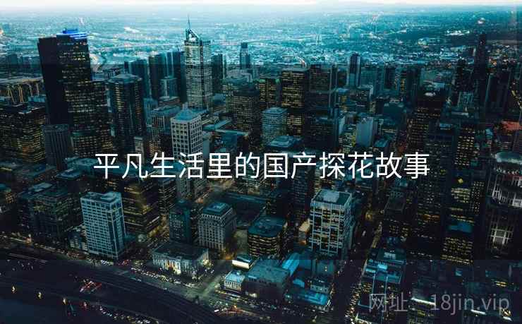 平凡生活里的国产探花故事