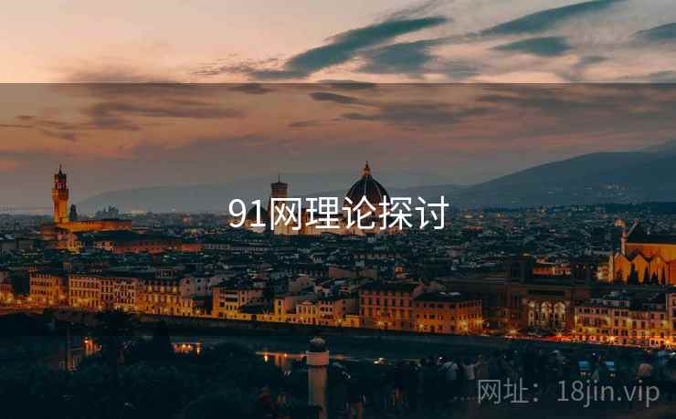 91网理论探讨