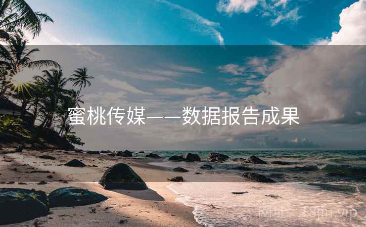 蜜桃传媒——数据报告成果