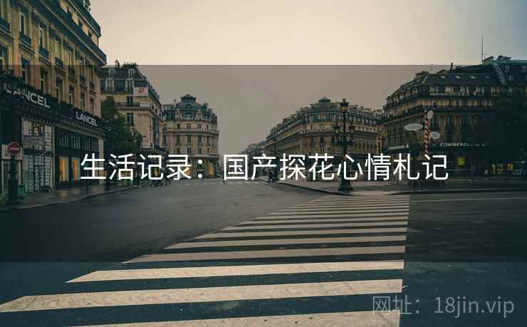 生活记录:国产探花心情札记