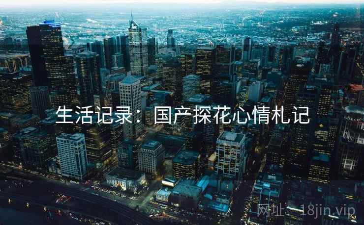 生活记录:国产探花心情札记
