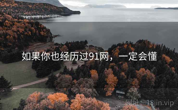 如果你也经历过91网,一定会懂  第2张 如果你也经历过91网,一定会懂  第2张