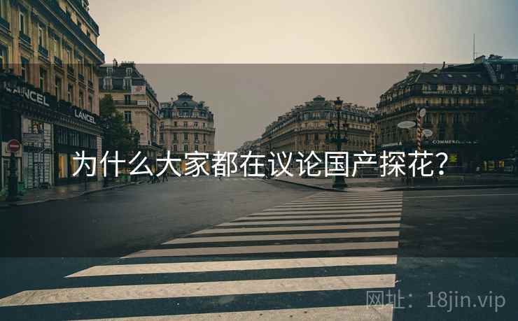 为什么大家都在议论国产探花?