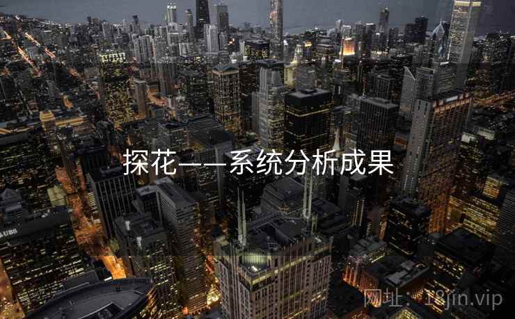 探花——系统分析成果