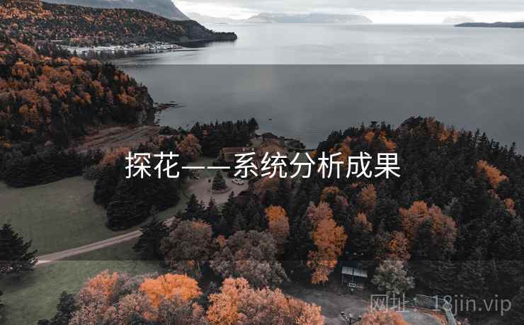 探花——系统分析成果