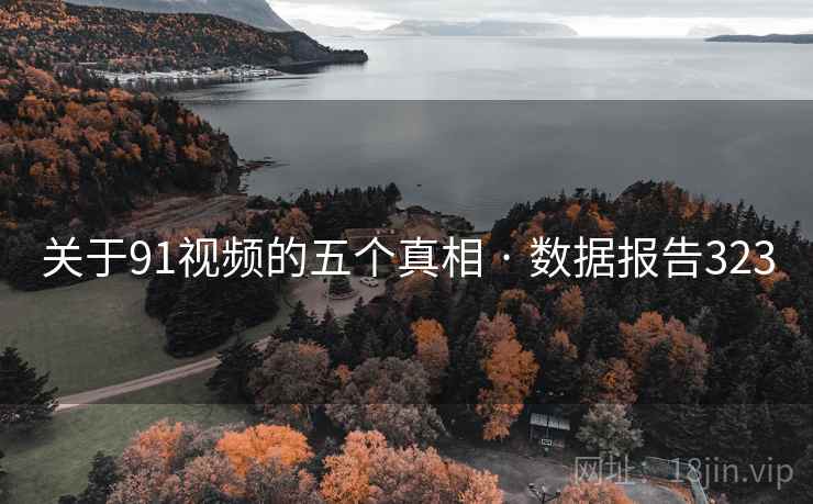 关于91视频的五个真相 · 数据报告323