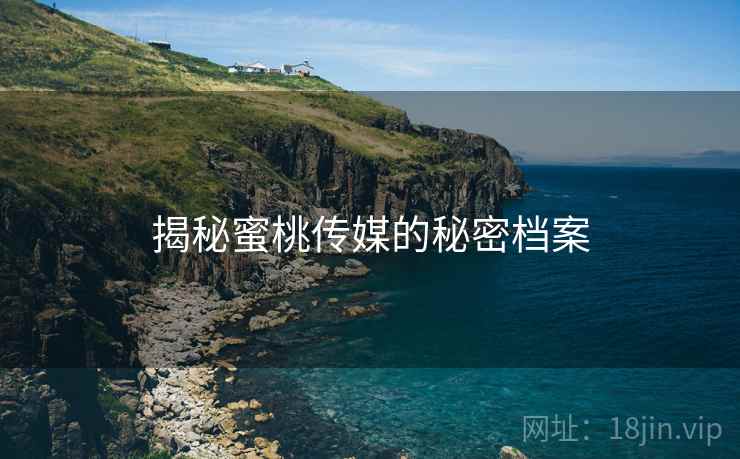 揭秘蜜桃传媒的秘密档案